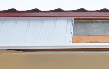 Muie fascia repair costs