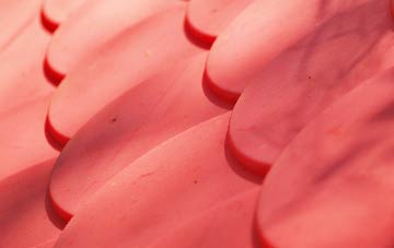 Muie plastic roof costs