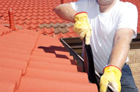 Muie roof cleaners