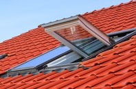 Muie roof window