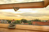 rated Muie roof window companies